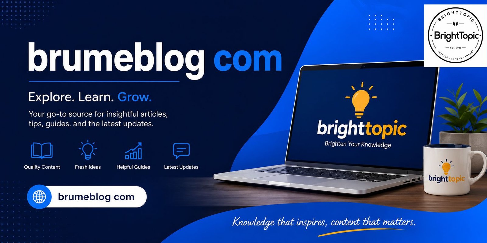 brumeblog com
